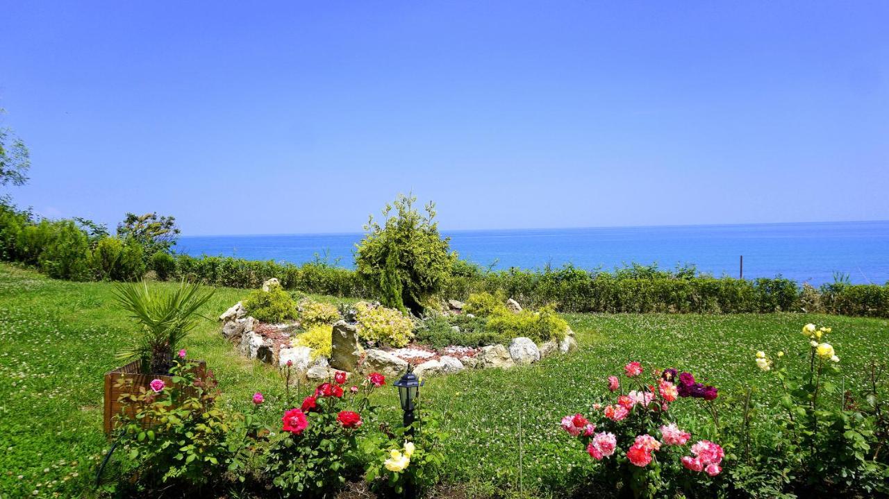 Бяла Клиф Форест - Byala Cliff Forest Bagian luar foto