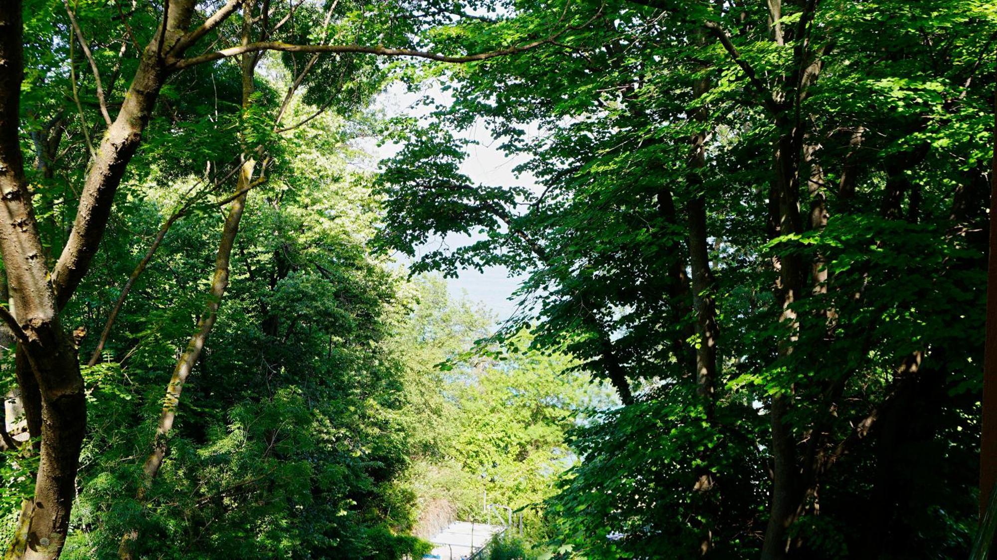 Бяла Клиф Форест - Byala Cliff Forest Bagian luar foto
