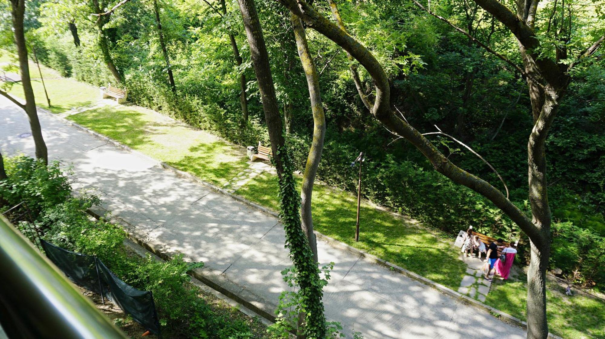 Бяла Клиф Форест - Byala Cliff Forest Bagian luar foto